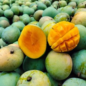 সাতক্ষীরার গোবিন্দভোগ আম।