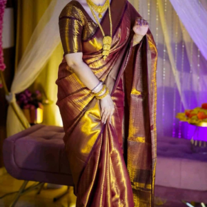 প্রিমিয়াম কাঞ্চিপুরম সিল্ক শাড়ি